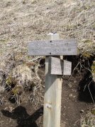 3.24.06 Dog Mountain 036 